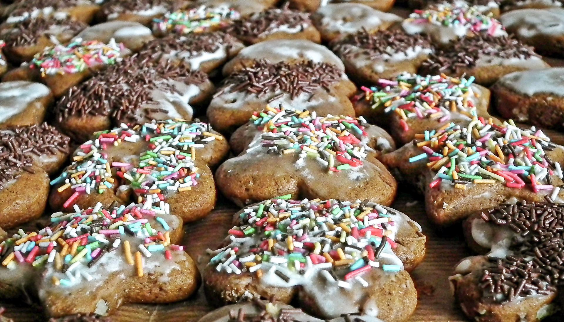 gingerbread-4657494_1920-13-44-26